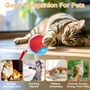 gato bola